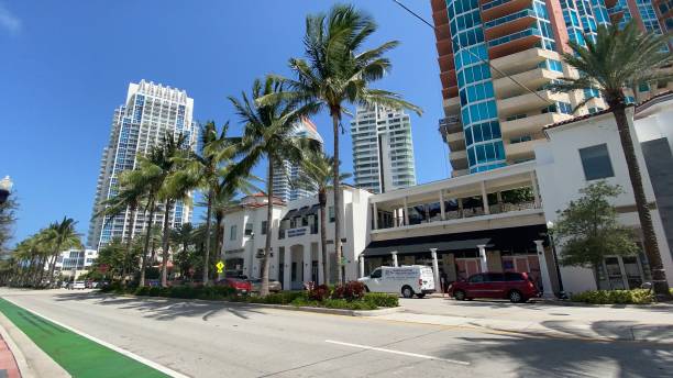 SEO Company in Miami