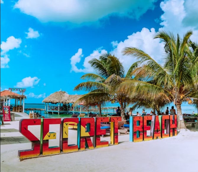 SEO Services Florida