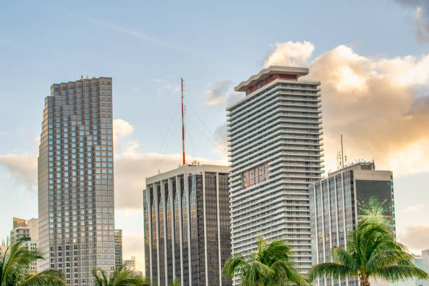 SEO Company Miami